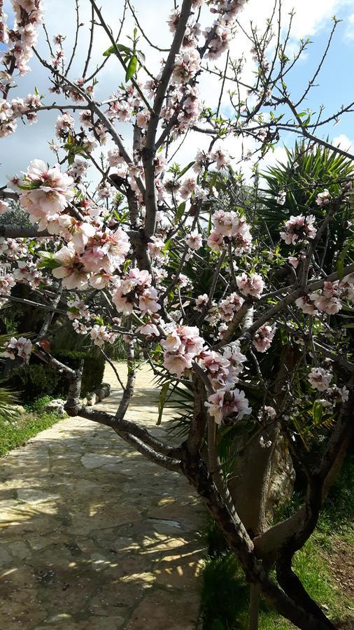Casale Rocca Russa B&B Villaggio Mosè Dış mekan fotoğraf